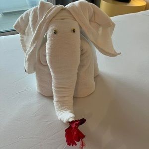 Meet your Posher, Katy